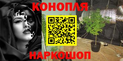 крисы Канаш
