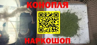крисы Канаш