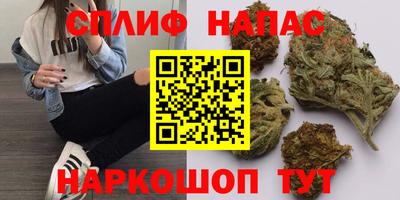 СК Кинель