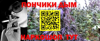 крисы Канаш
