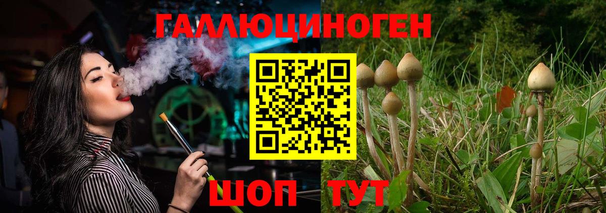 Галлюциногенные грибы Cubensis Корсаков