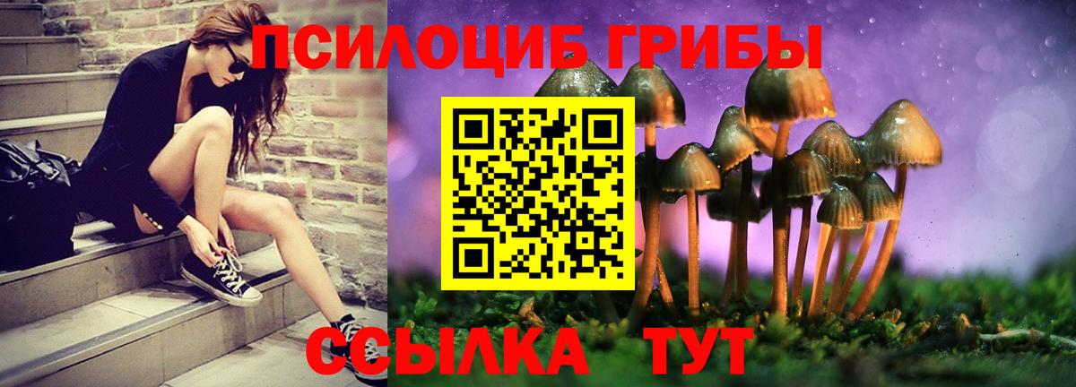наркотики  Псилоцибиновые грибы мухоморы  Корсаков  Вход с VPN  Галлюциногенные грибы Psilocybe 